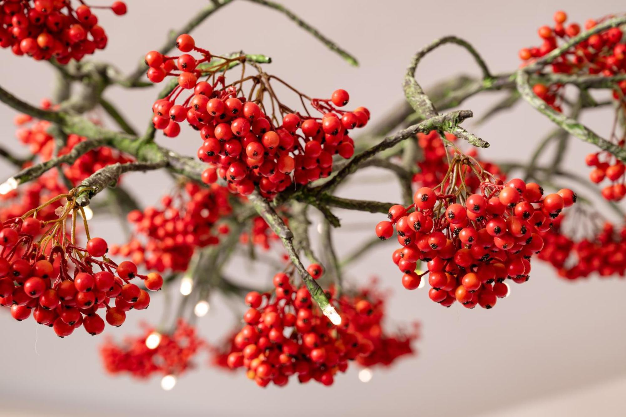 Herbarium Boutique Hotel Olomouc Eksteriør bilde